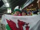 Flying the flag at the Wales vs NZ game}