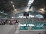 The final big p!ss up at the Olympic 'piscine